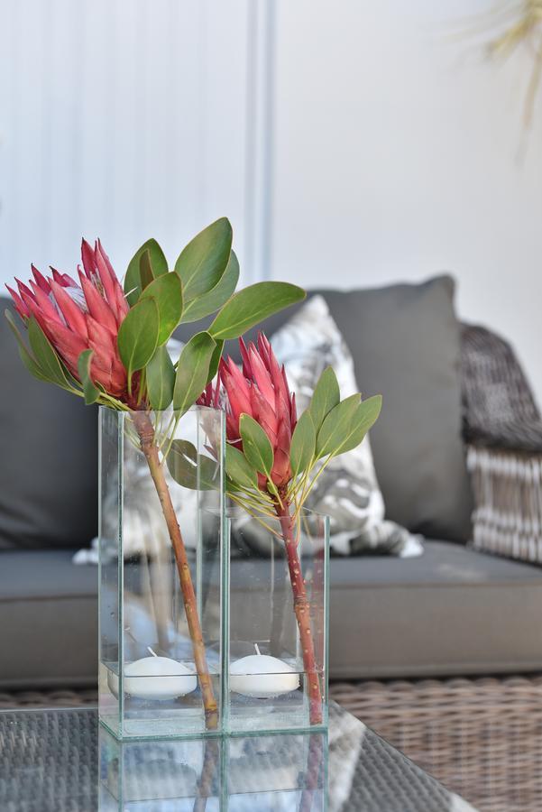 Vilacqua Boutique Guest Villa Plettenberg Bay Exterior foto