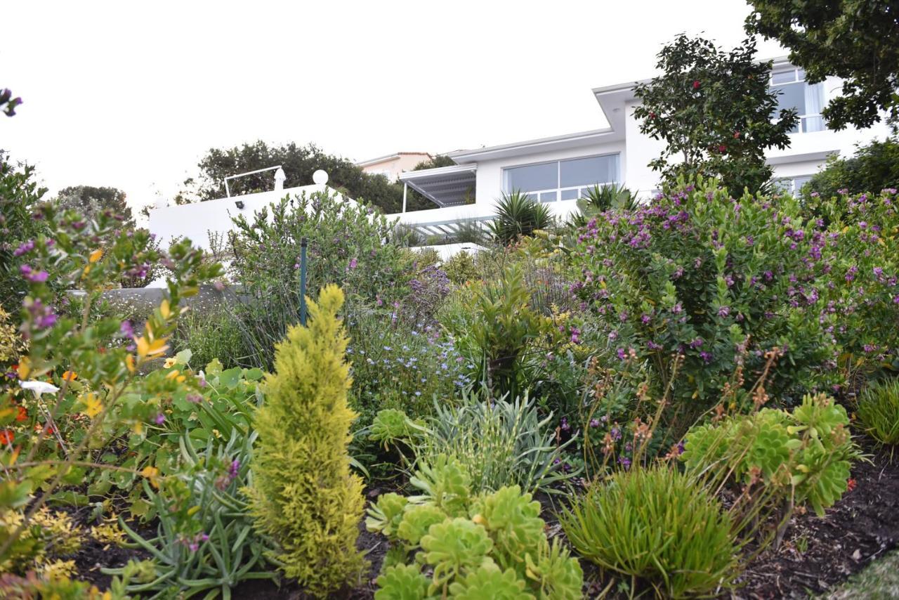 Vilacqua Boutique Guest Villa Plettenberg Bay Exterior foto